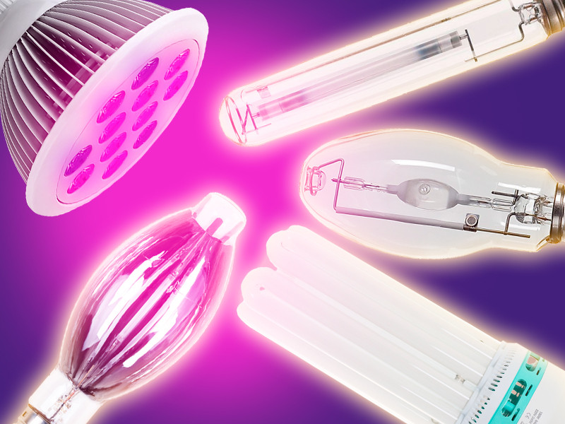 Как выбрать свет для конопли? Освещение для конопли