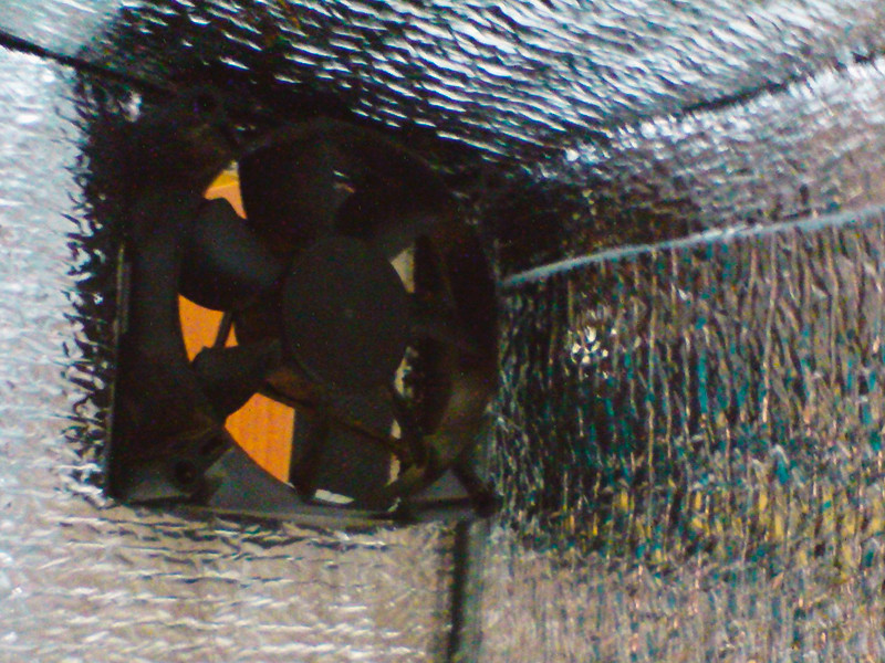 Вытяжной вентилятор наверху, а вдувной на противоположной стороне снизу Вентиляция для конопли