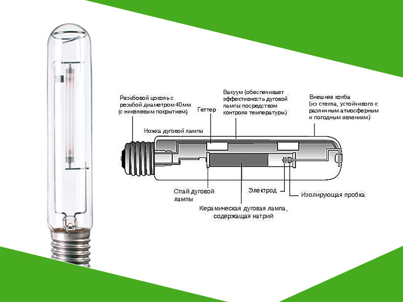 Строение и особенности ДНаТ ламп, используемых для гровинга конопли Конструктивные особенности ДНаТ ламп