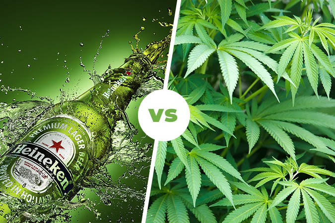 Пиво или конопля? Алкоголь или конопля вреднее для здоровья?