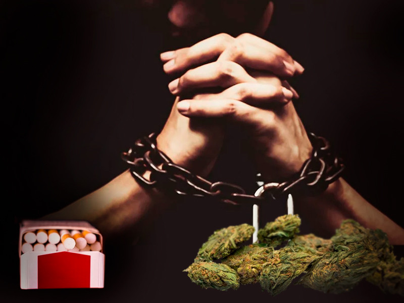 Табак вызывает и физическую, и психологическую зависимость Зависимость от сигарет и марихуаны