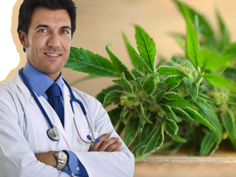 В чем заключается польза марихуаны Использование конопли