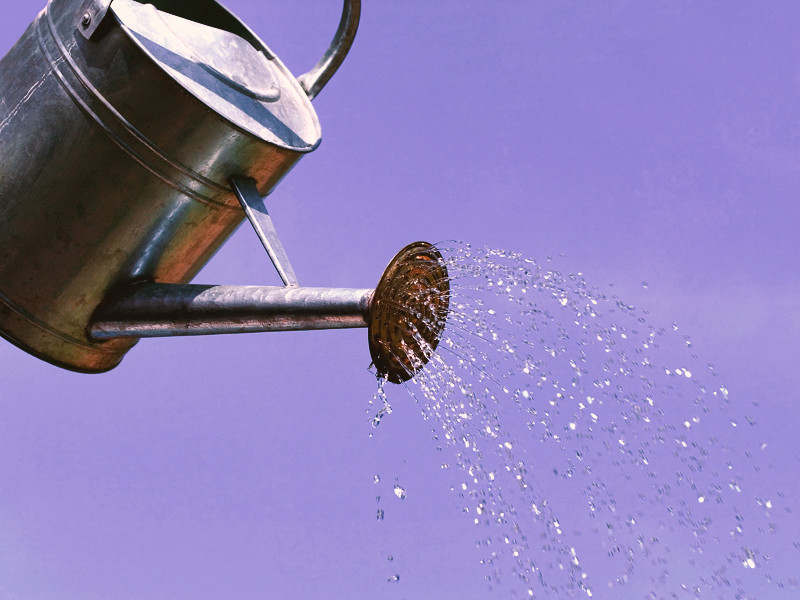 Полив с помощью лейки Полив с лейкой