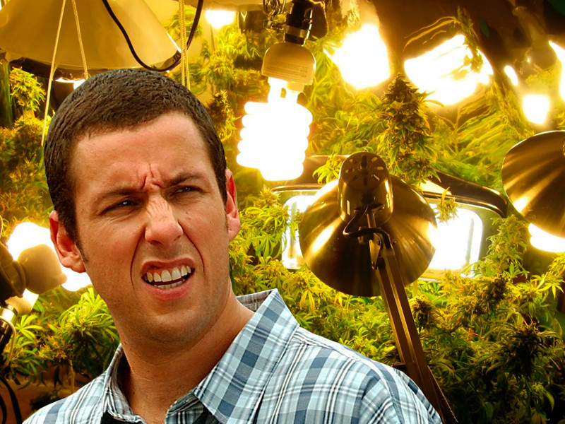 Какой свет для конопли в индоре лучше? Освещение в индоре