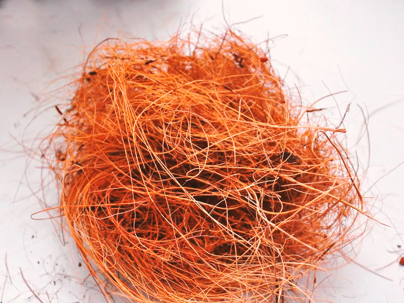 Кокос это отличный субстрат для выращивания конопли Кокос для конопли