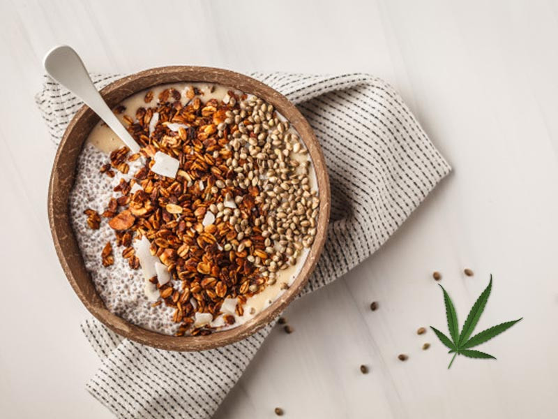 Рецепты из марихуаны Исследование свойств конопли