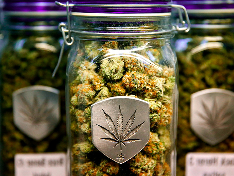 Шишки конопли в банке Шишки конопли на пролечке в банке