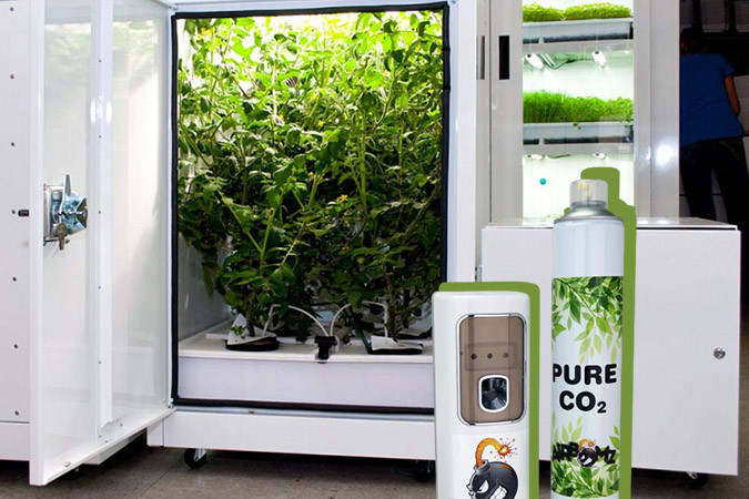 Как увеличить количество углекислого газа в гроубоксе? Как добавить CO2 для конопли