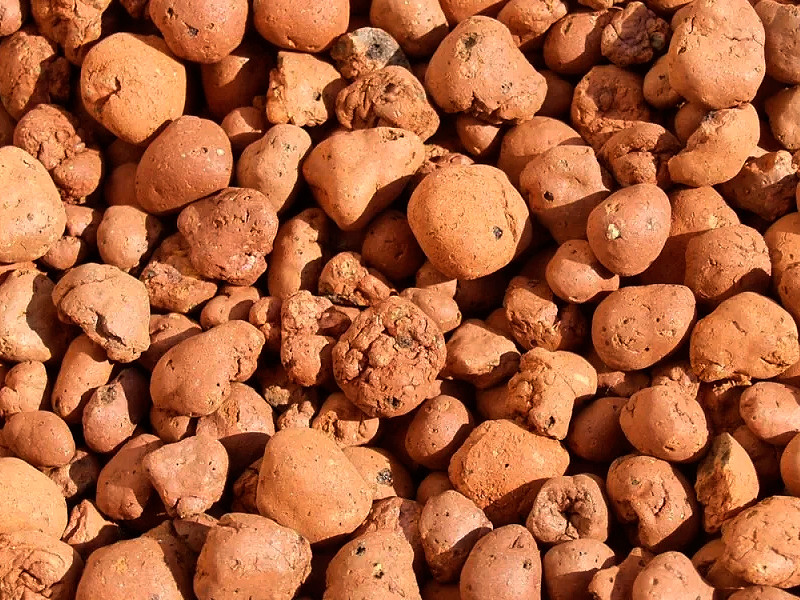 Выращивание конопли в керамзите Керамзит для конопли