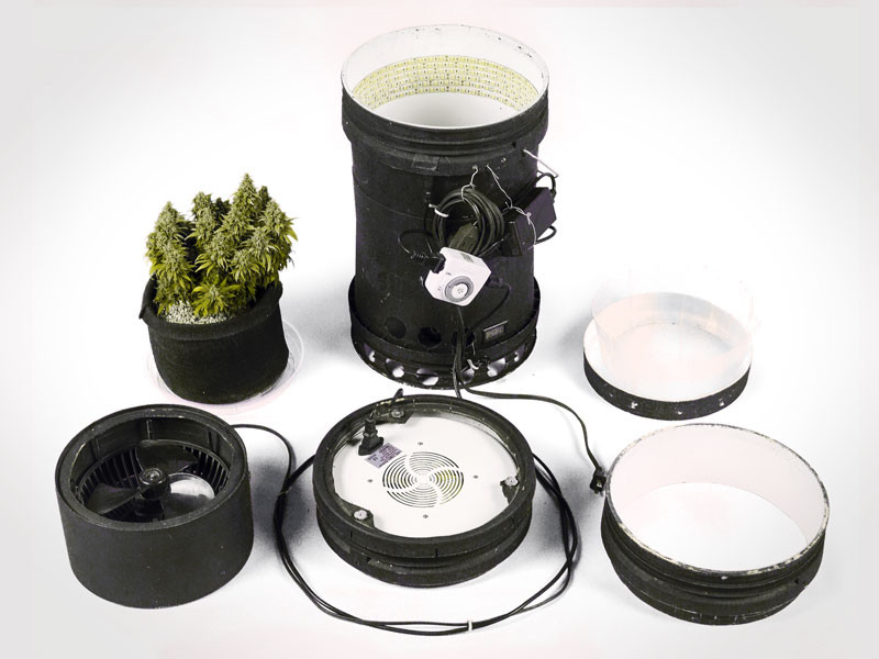 Купить готовый гроубокс Си Джей боксы для марихуаны