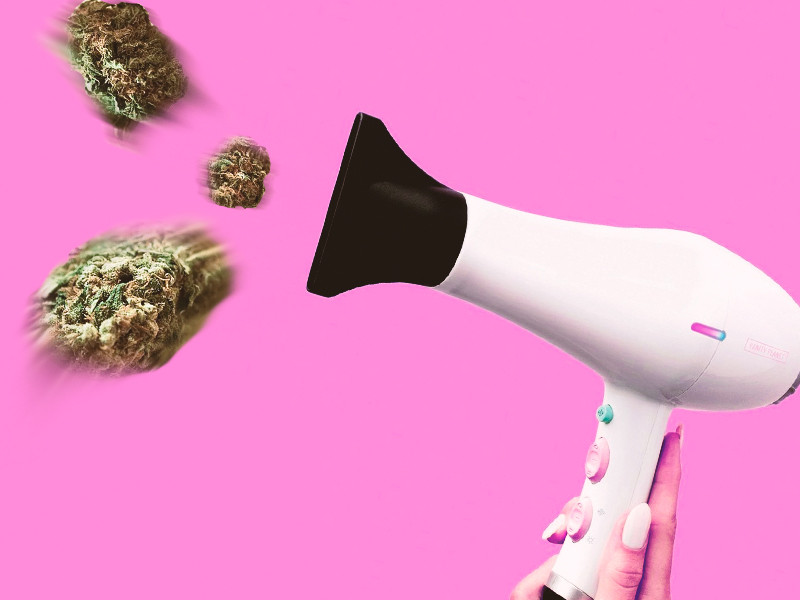 Сушить коноплю с помощью фена Сушить коноплю феном