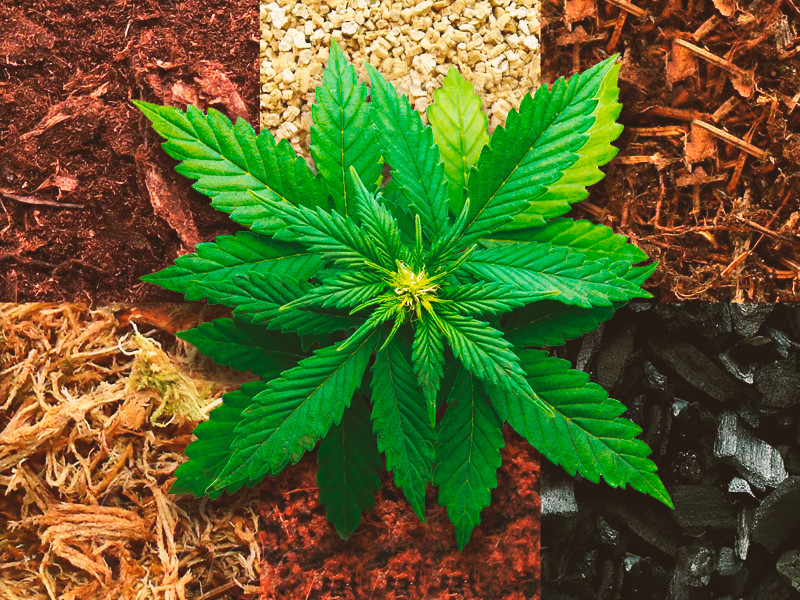 Виды субстратов для выращивания конопли Субстраты для конопли