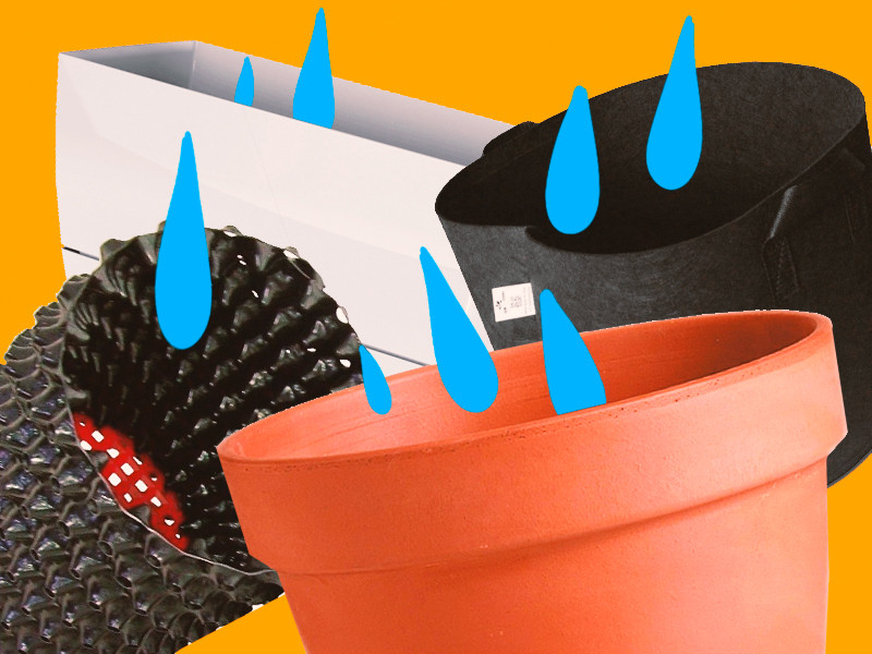 Какой горшок выбрать для выращивания конопли? Горшки для выращивания конопли