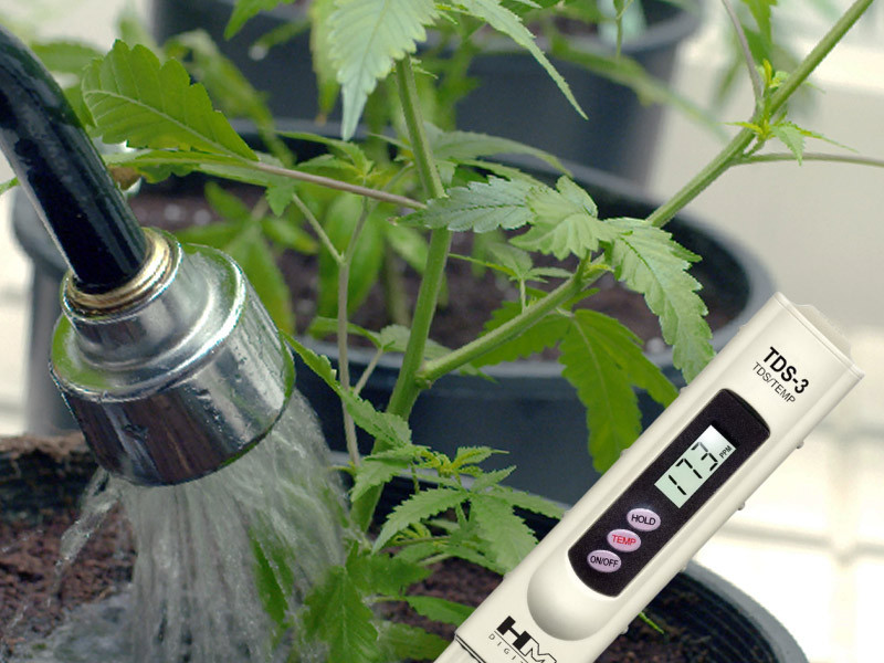 Иснтрукция по измерению жесткости воды для каннабиса Измеряем жесткость воды